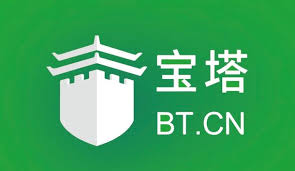 宝塔面板nginx怎么监听ipv6,让网站可以通过ipv6访问-快乐生活